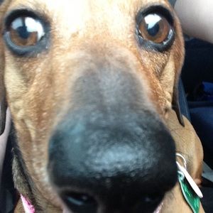 Meet your Posher, Valarie